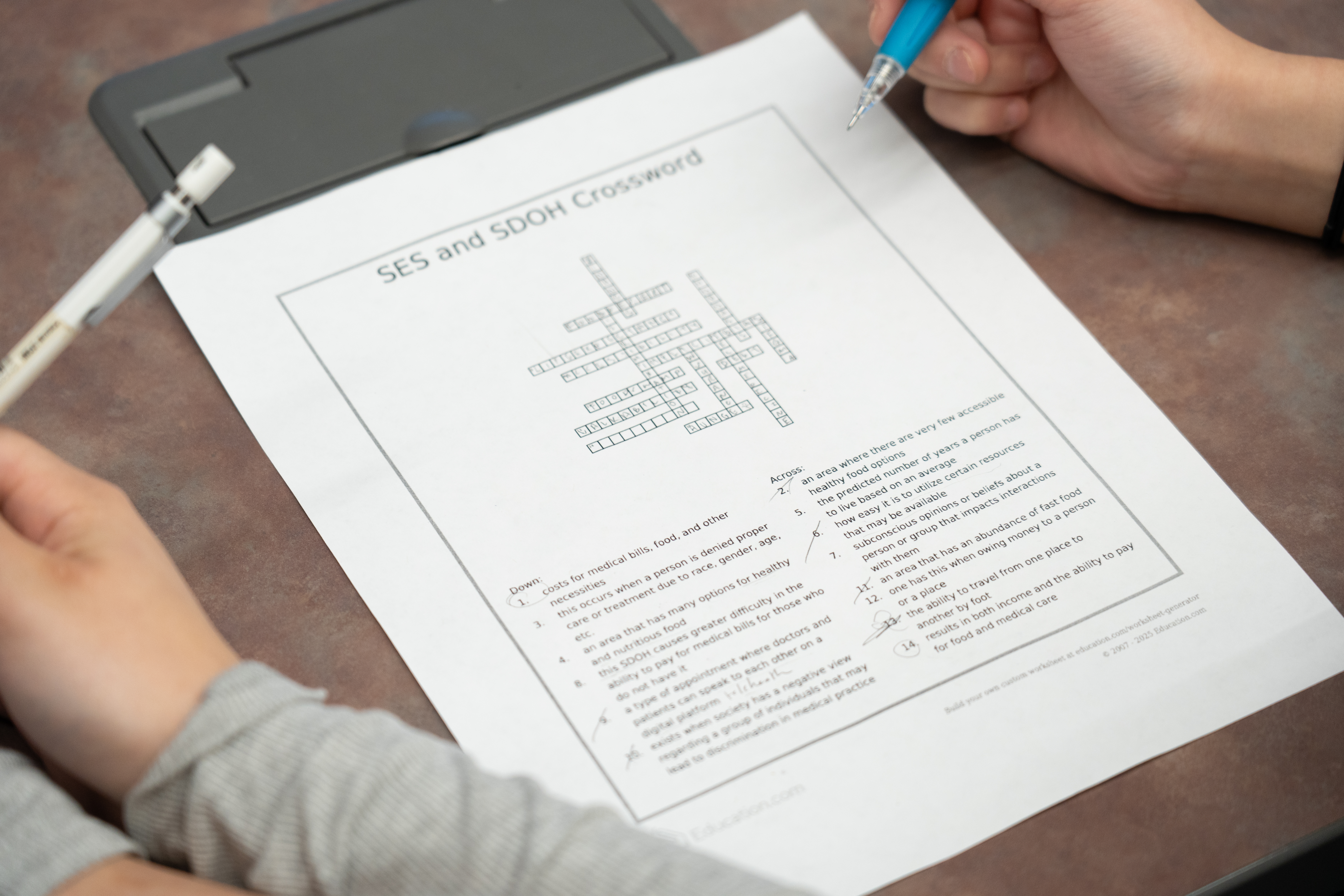 Interactive Activity - Crossword